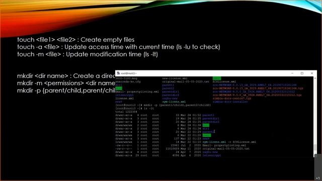 File and directory management смотреть онлайн