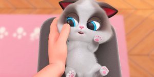 Корги по имени Моко. Домашние животные 2, 25 серия. Не получается