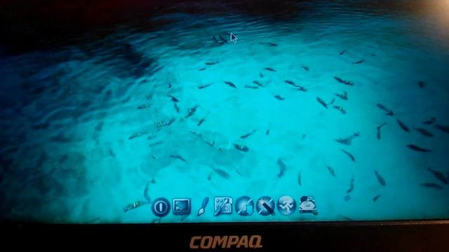 TinyCore Linux en Compaq Armada 1575 sin disco duro смотреть онлайн