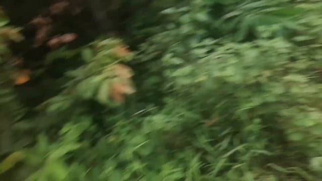 BAJAK / TRAKTOR / ROTARI / LIJER ,, ladang untuk di tanami bonggol singkong смотреть онлайн