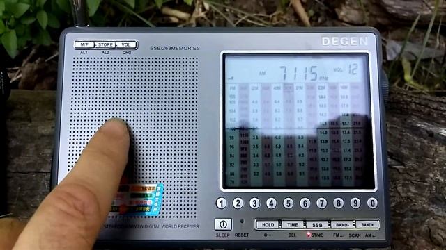 Degen DE1103 DSP  , XHDATA D-808 3