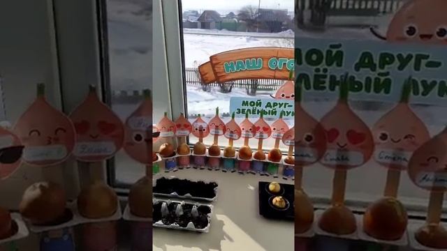 Огород на подоконнике смотреть онлайн