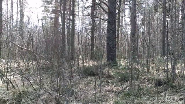 2012 По реке Мга в половодье.