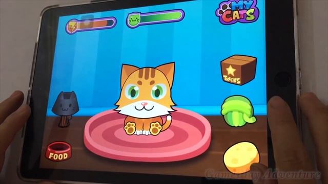 Little Kitten,Adventure,Talking Tom,My Virtual,Dream House,Kitties,Dumb Ways,Bouncemasters смотреть онлайн