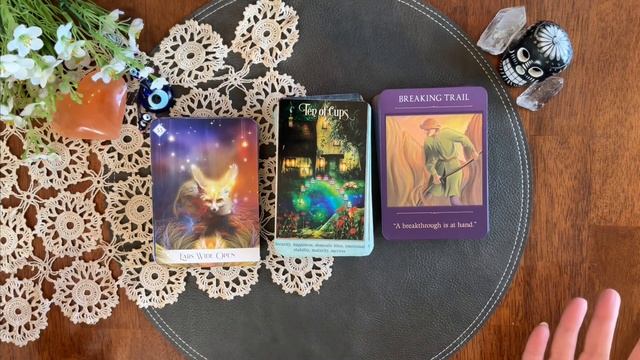 March Monthly Musings ☘ and the Decks I used in My Practice and Aquired смотреть онлайн