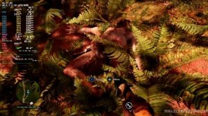 Far Cry Primal | Steam Deck