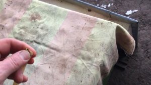 Ход зимовки Где клуб в январе Есть ли влага