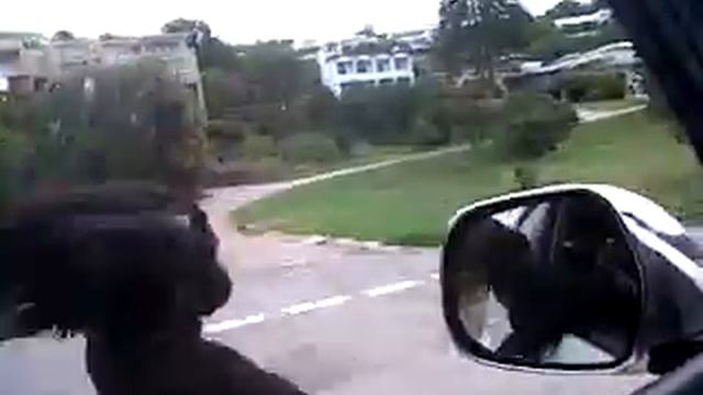 My Sisters Poodle That Fell Out The Car Window!! смотреть онлайн
