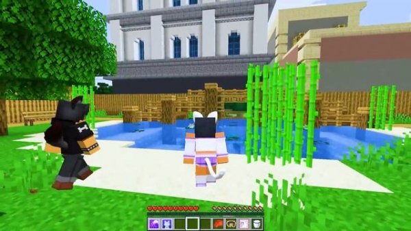 Cat and Dog FORBIDDEN LOVE! Minecraft