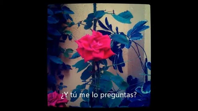 Rima XXI- Gustavo Adolfo Bécquer смотреть онлайн