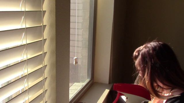 WINDOW MOUNTED CAT BED AS SEEN ON TV REVIEW & DEMO смотреть онлайн