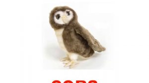 Презентация для детей по Доману. Игрушки