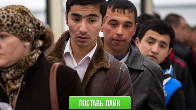 СРОЧНО! НОВЫЙ УКАЗ ДЛЯ МИГРАНТОВ 9 НОЯБРЯ ВСЕ В ШОКЕ УЗБЕКИ ТАДЖИКИ ВНИМАНИЕ В РОССИИ ВАЖНО! смотреть онлайн
