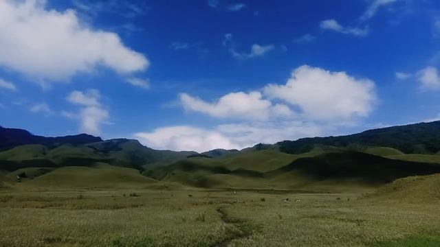 Dzukou Valley - Probably The Real Windows XP Wallpaper смотреть онлайн