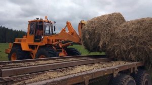 Синий ТРАКТОР едет и везет в прицепе сено на ферму