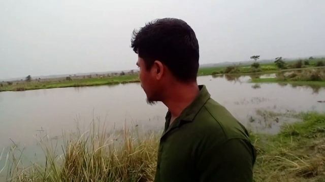 2 Times Rice Farming in assam Village #villagevlogger22 смотреть онлайн
