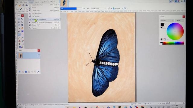How to scan a drawing using paint.net смотреть онлайн