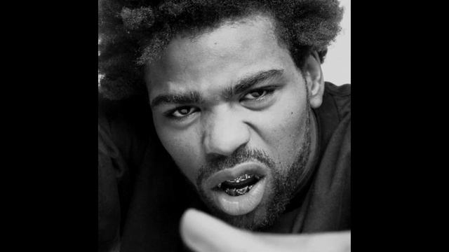 [FREE FOR PROFIT] METHODMAN X WU TANG CLAN 