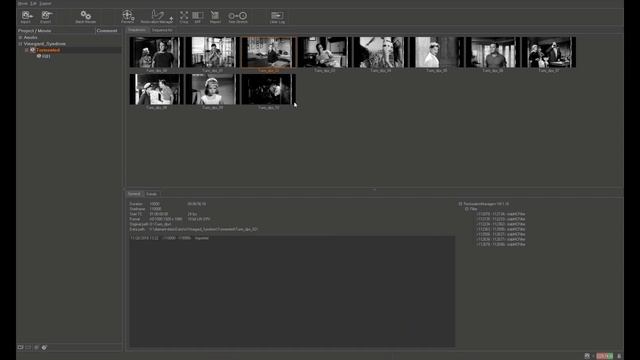 Using automatic Diamant-Film Restoration tools by Andreas Hartung смотреть онлайн