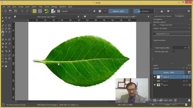 Krita 7 - Pen tool tracing of Image смотреть онлайн