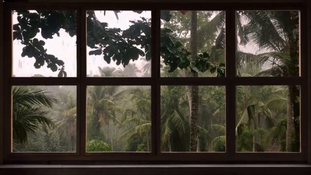 4K FAKE WINDOW : 1 HOUR ⛈🌴 AMAZONIAN JUNGLE UNDER THE RAIN 🌴 ⛈ FOR PROJECTOR смотреть онлайн