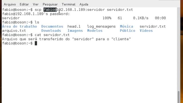 SSH - Usando scp para transferência de arquivos entre hosts Linux смотреть онлайн