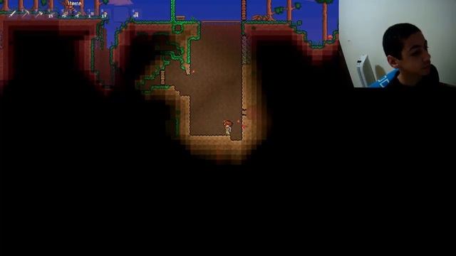 Terraria + Audio + Camera = FaceCam смотреть онлайн