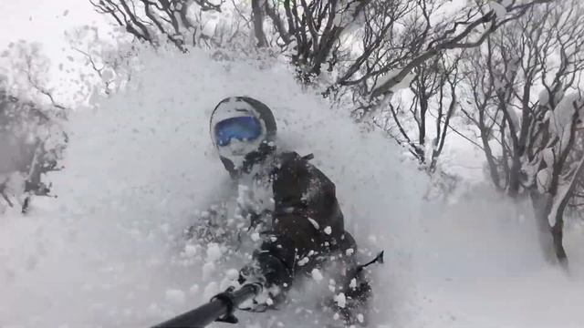 ProShot Case: Powder Shots in Japan смотреть онлайн