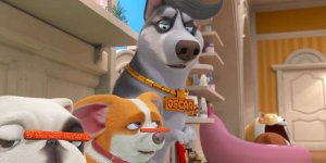 Корги по имени Моко. Домашние животные 2, 44 серия. Кто всё съел?