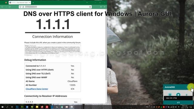 Windows용 DNS over HTTPS 클라이언트 | Aurora GUI смотреть онлайн