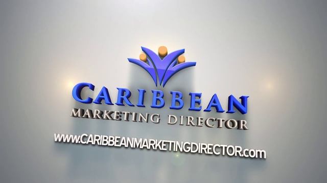 Caribbean Marketing Director 3D Logo Video Download смотреть онлайн