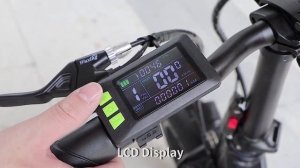 RANDRIDE Foldable Commuter Electric Bike 1000W 20«x4.0» Fat Tire Folding Travel Electric Bicycle