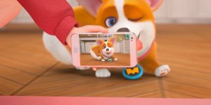 Корги по имени Моко. Простые истории, 59 серия. Самый фотогеничный пёс