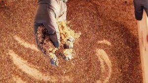 Как мы добываем пергу на Пасеке КФХ ТехноВелес