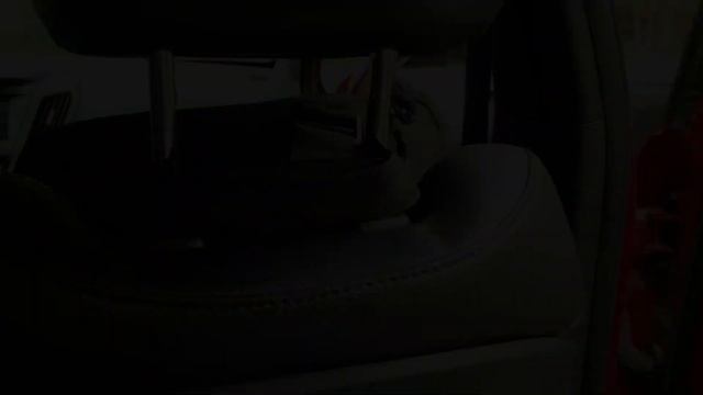 LA Police Gear Car & Truck Seat Organizer: Store Flashlights, Medical, Tools in Your Front Seat смотреть онлайн