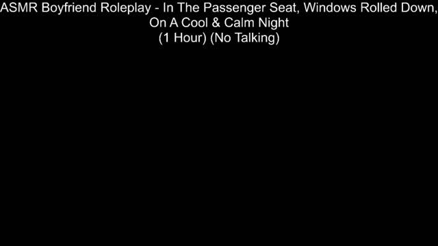 ASMR Boyfriend Roleplay - In The Passenger Seat, Windows Rolled Down, On A Cool & Calm Night #88 смотреть онлайн