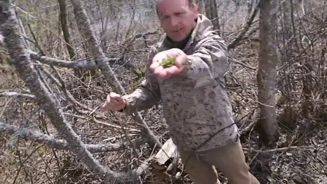 2014 Песь. Весенний сплав.