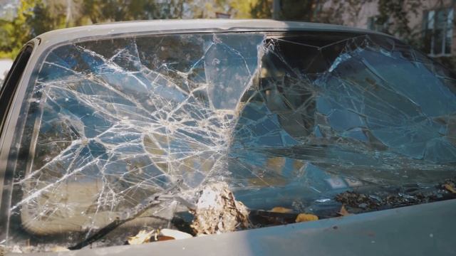 The Broken Window Theory Unveiled смотреть онлайн