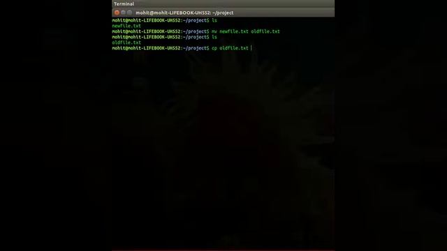 Basic Operations on Files in Linux смотреть онлайн