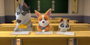 Корги по имени Моко. Домашние животные 2, 77 серия. Настроение