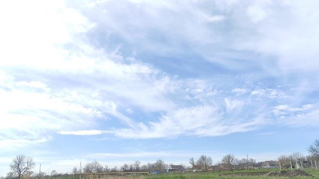 Поездка к лебединому пруду. смотреть онлайн