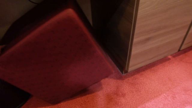 MSC Divina Room Tour! Interior Cabin 11200 смотреть онлайн