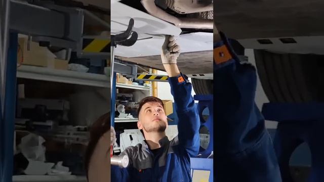 VOYAH FREE и защиты электродвигателей RIVAL смотреть онлайн