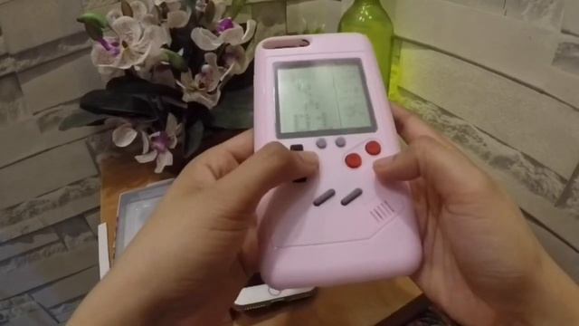 GAMEBOY / BRICK GAME CASE REVIEW | INDAY LESLAY смотреть онлайн
