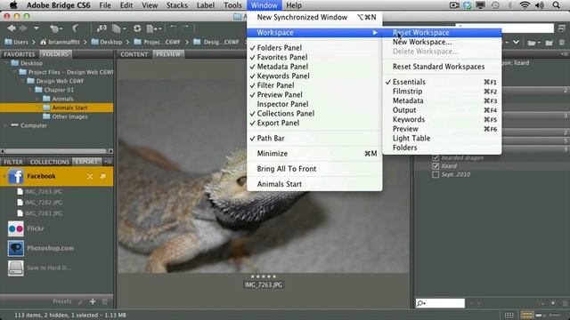 Adobe CS6 Design Web Workflow 2012 Organizing Assets in Adobe Bridge 07 Exporting to Facebook смотреть онлайн