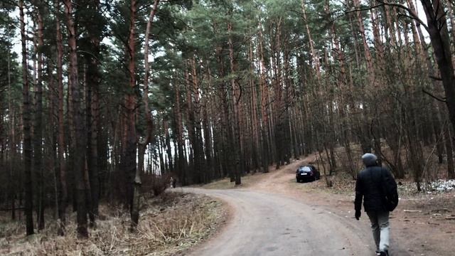 Wintery Walk ( Vitebsk 2020)