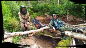 4 МЕСЯЦА В ТАЙГЕ . Печь по гиловский)) жарим грибы . Серия 19.