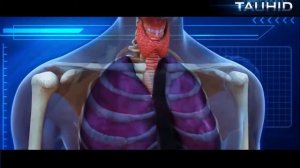 О СМЕРТИ Курильщиков