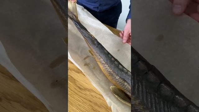 Стерлядь целая потрошеная горячего копчения смотреть онлайн