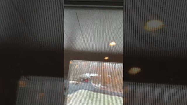 Window Operation 1: Casement Windows, Integrated Blinds, Screens смотреть онлайн